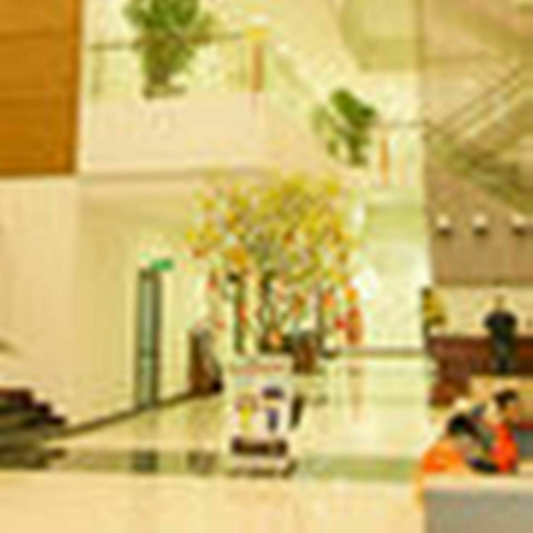 Da Nang Han River Hotel Exterior foto